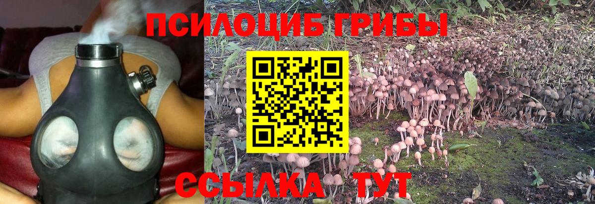 Лосино-Петровский  Псилоцибиновые грибы Psilocybine cubensis  Вход с VPN 