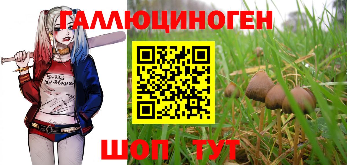 Галлюциногенные грибы мухоморы  Лосино-Петровский 